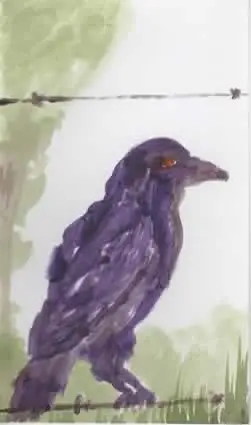 Crow on the fence by Amy Warrick aceo art card
