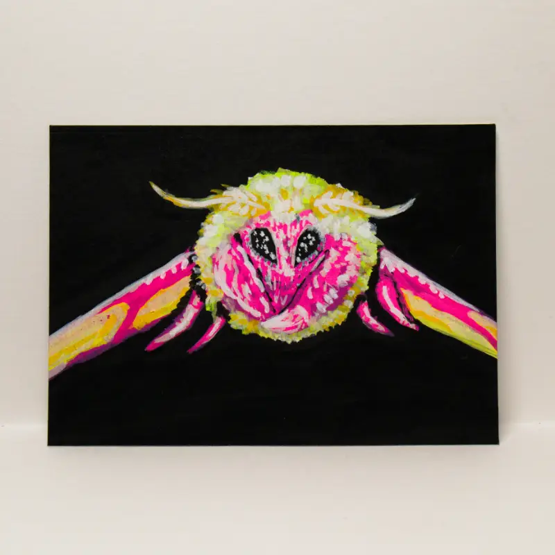 cutest diva - card No. 9 aceo art card