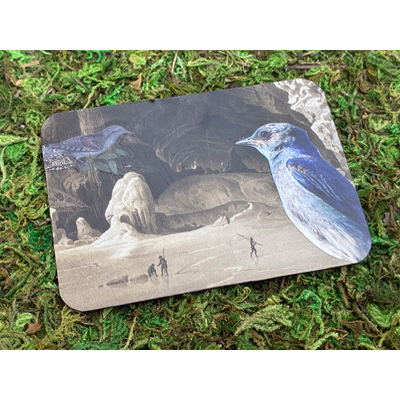 Cave of the Birds - ACEO #7 aceo art card thumbnail 2