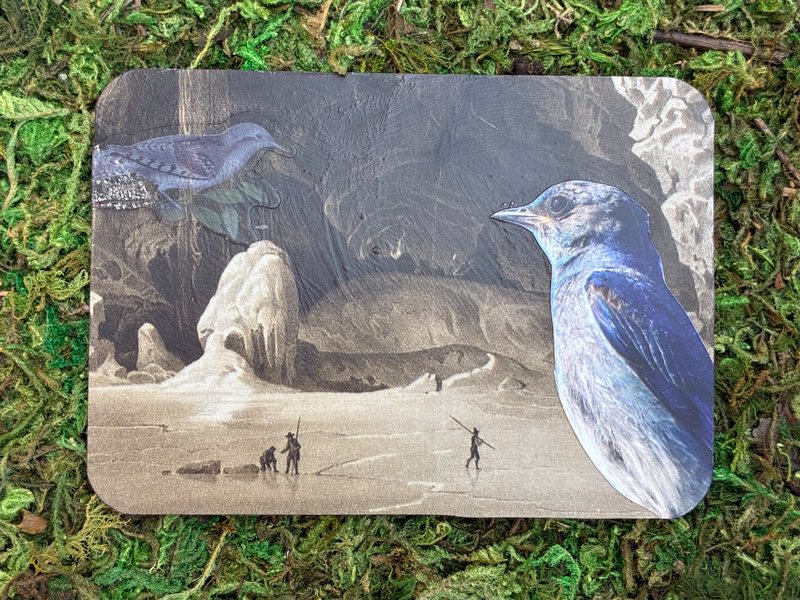 Cave of the Birds - ACEO #7 aceo art card