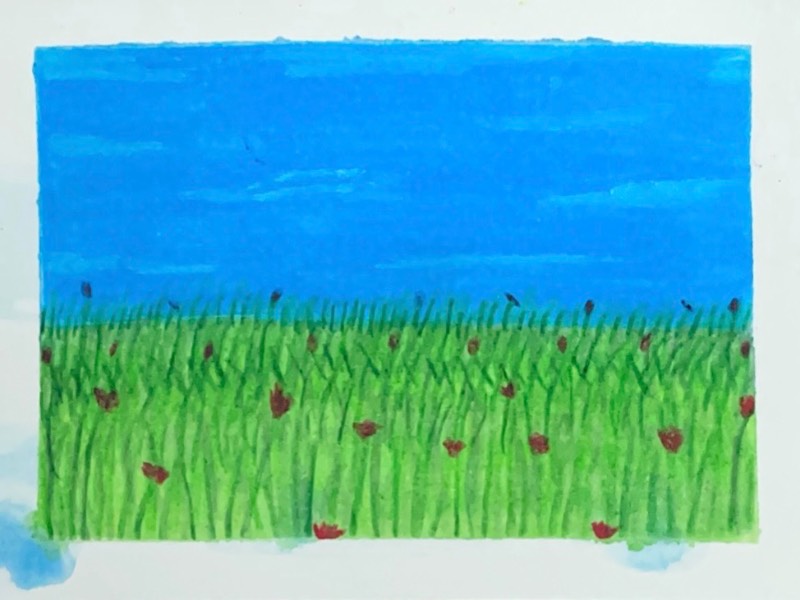 Grassy Field 5 aceo art card