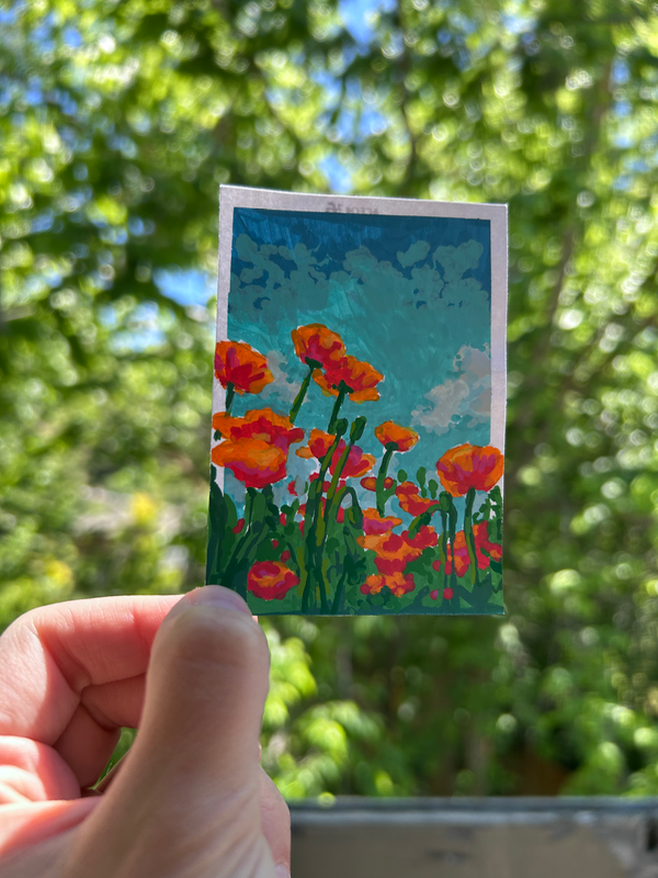 Poppies aceo art card