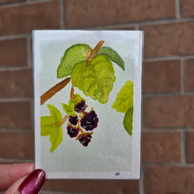 Black Raspberry aceo art card thumbnail 1