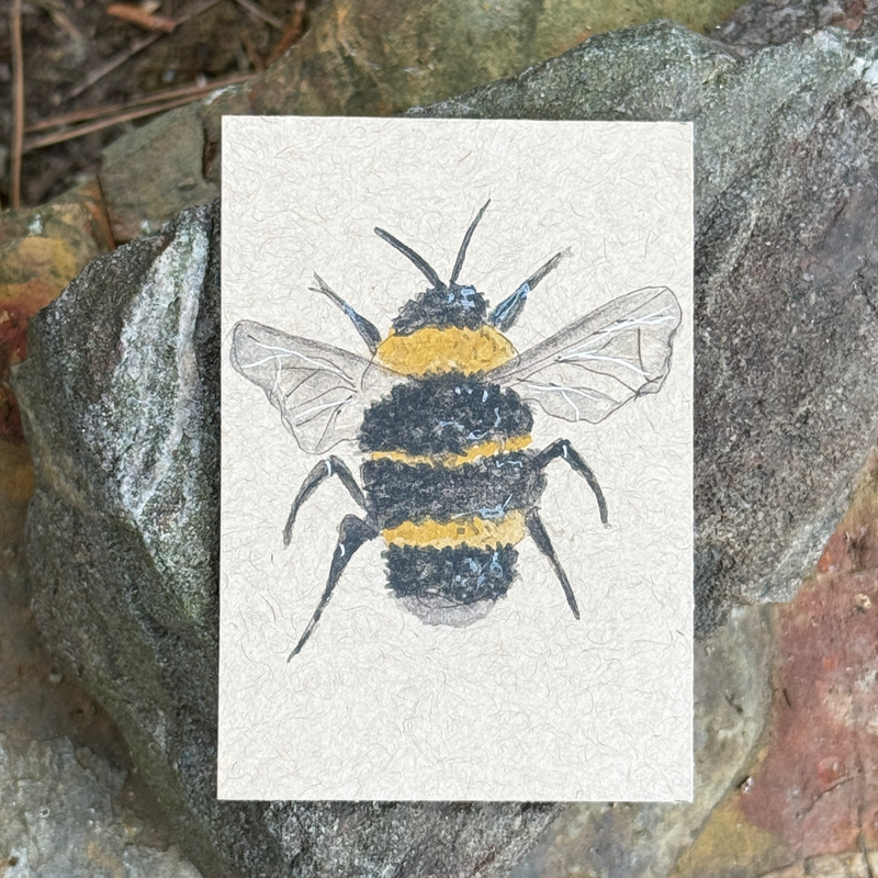 ACEO Watercolor Nature Collection “Queen Bee” aceo art card