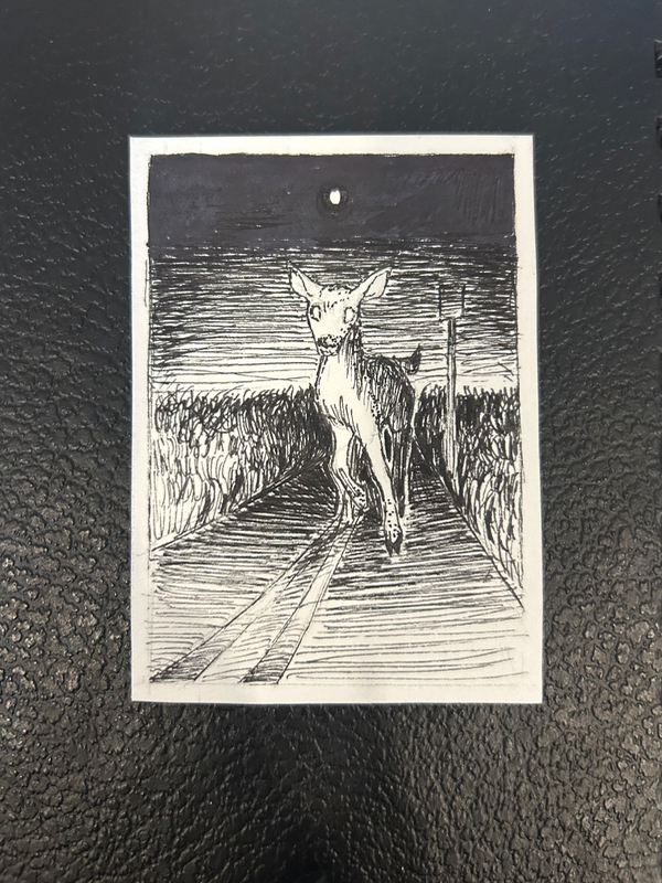 Deer under headlights aceo art card