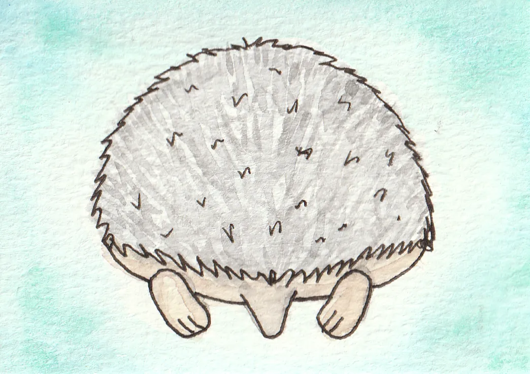 Hedgie Sploot aceo art card