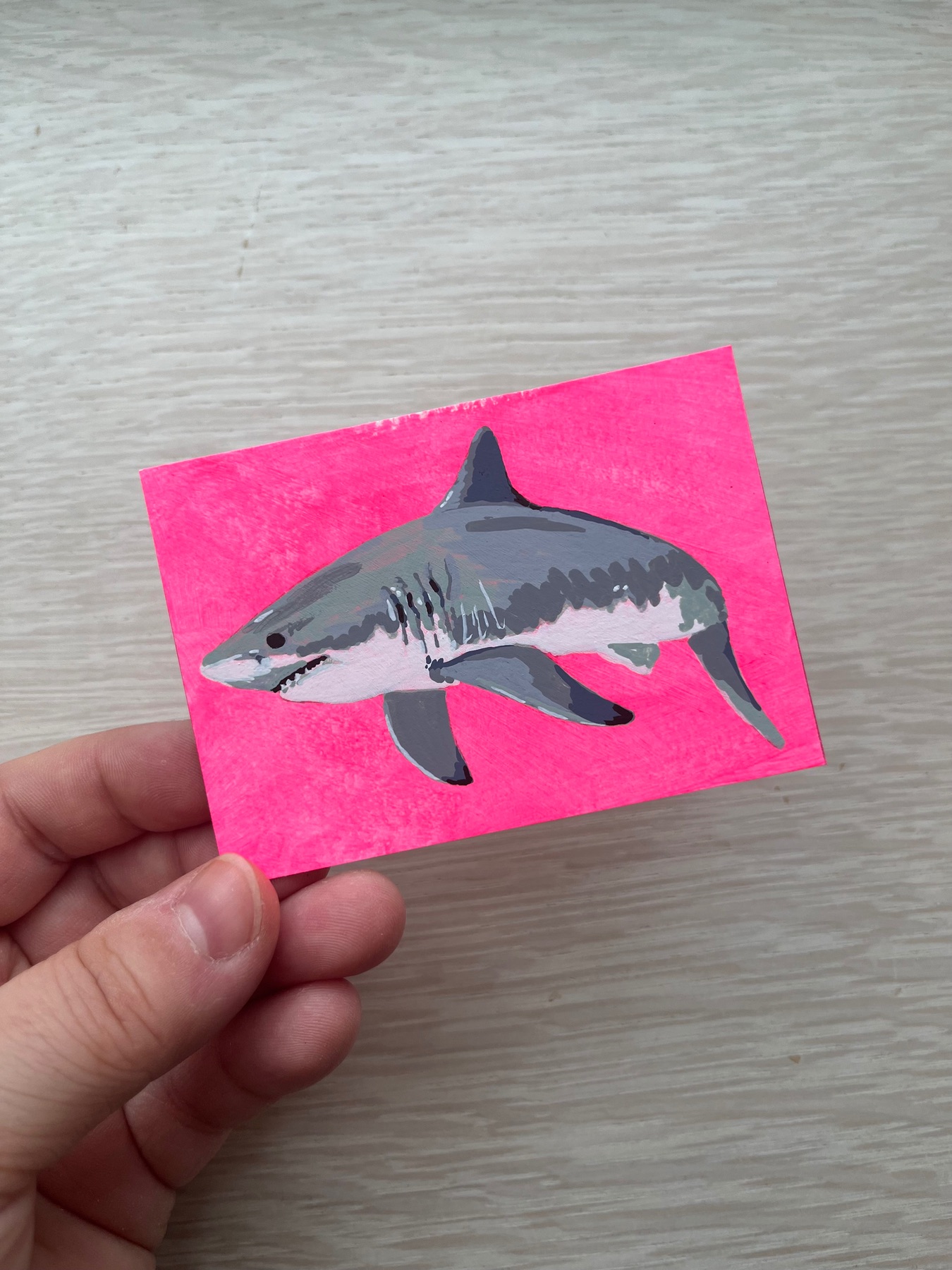 Great White Shark (Series 4/4) aceo art card