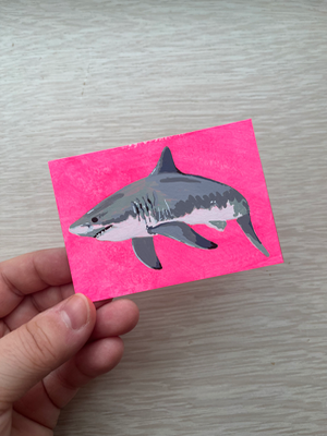 Great White Shark (Series 4/4) aceo art card thumbnail 1
