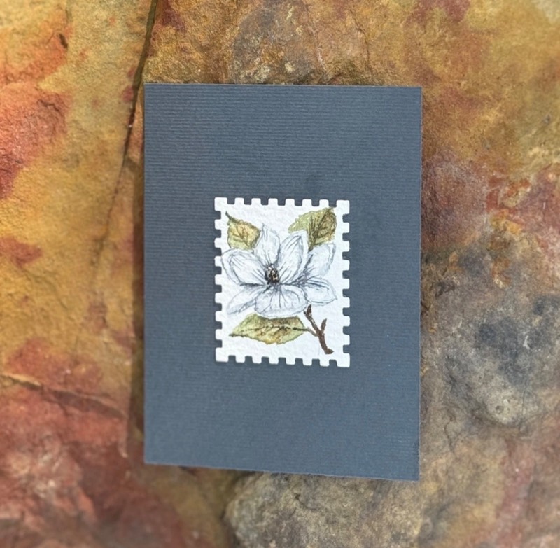 ACEO Watercolor Magnolia Stamp aceo art card