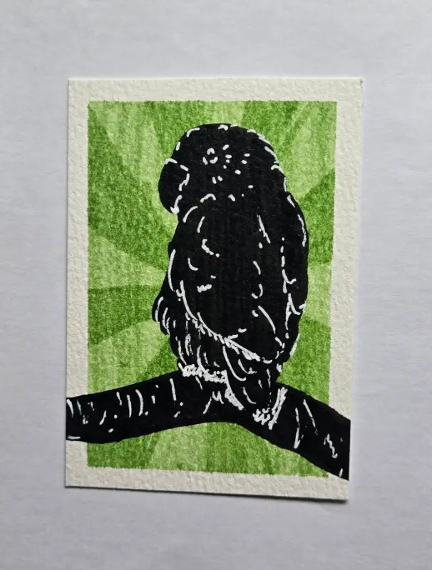 Silhouette Animals (3 of 3) Parrot Tropical Bird aceo art card