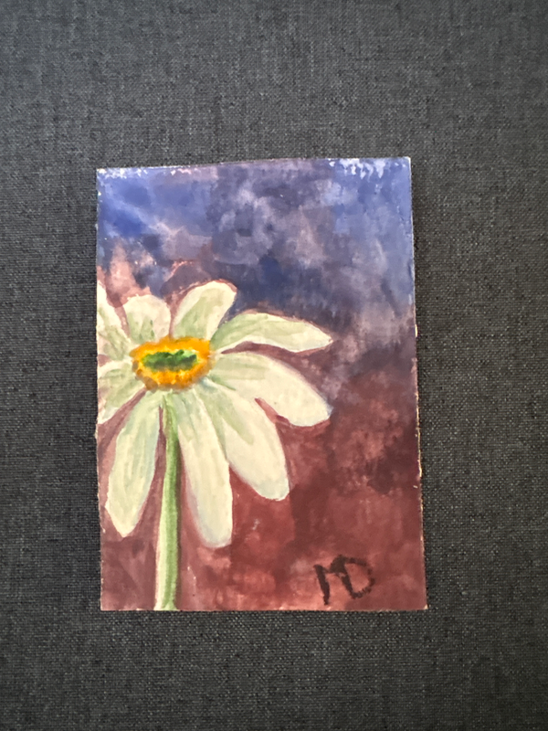 Daisy aceo art card