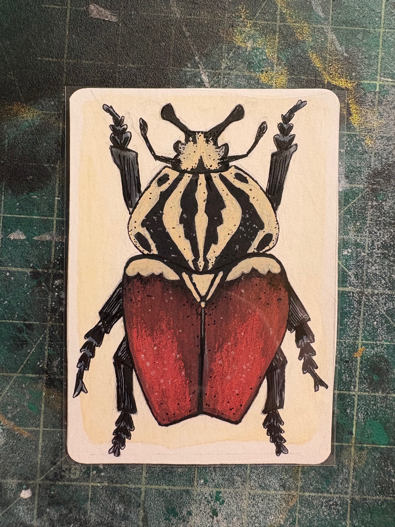 Goliath Beetle aceo art card
