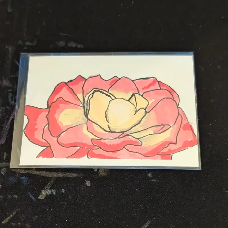 Blooming Rose #3 aceo art card