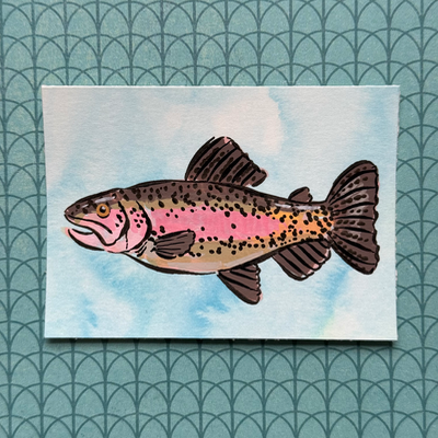 Rainbow Trout aceo art card thumbnail 1