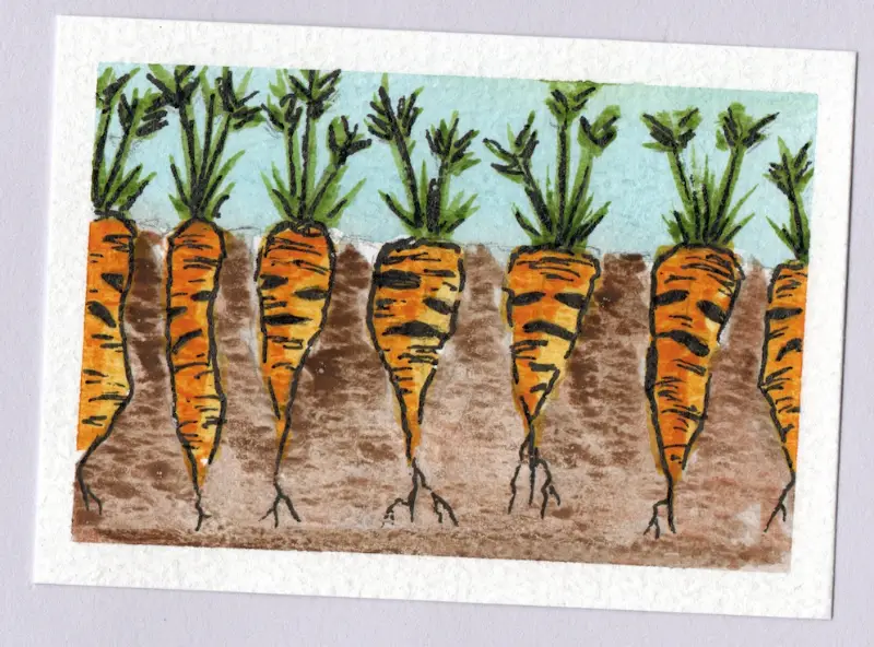 Disdainful Carrots aceo art card