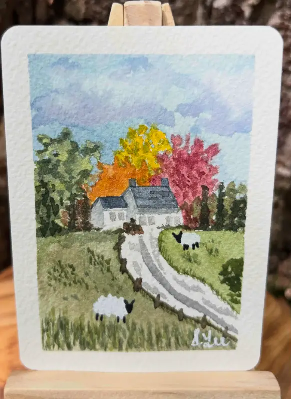 Sheep Study: Two Sheep aceo art card