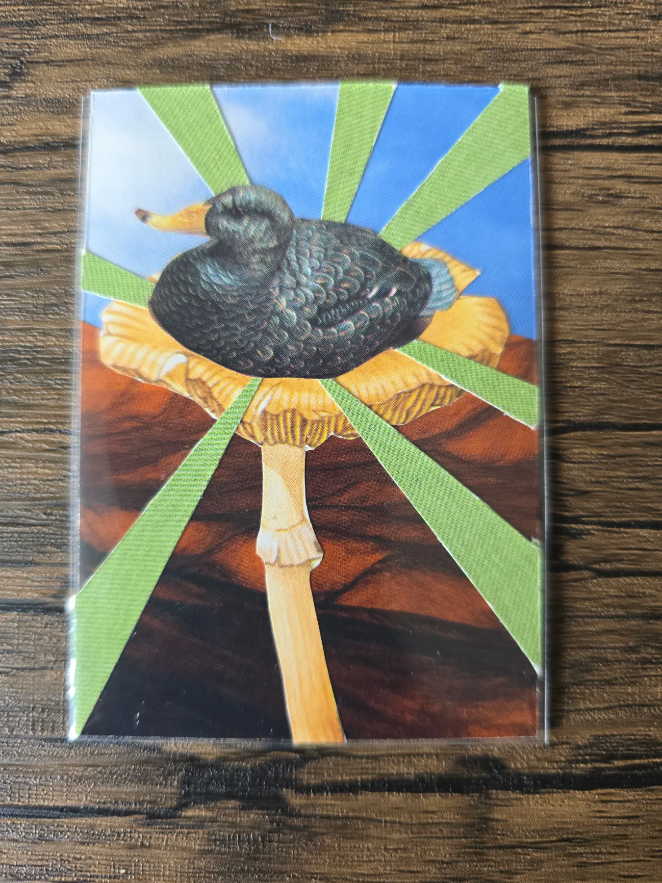 Sitting Duck aceo art card