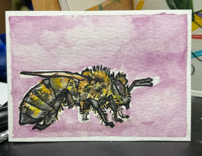 Purple Honey Bee aceo art card