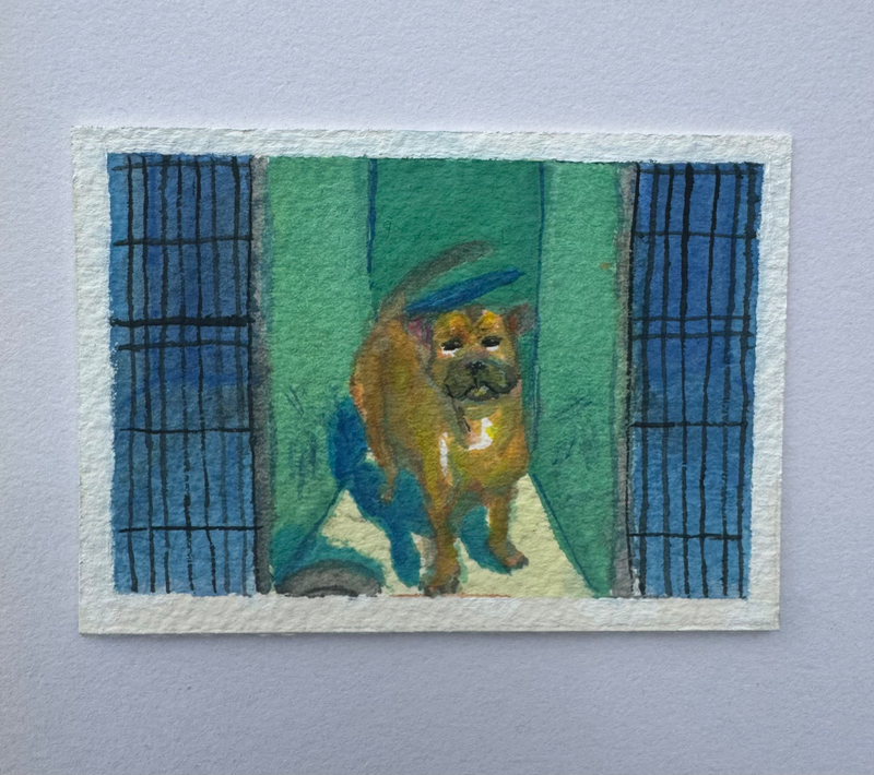 selection aceo art card