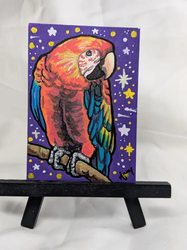 Scarlet "Rainbow Chicken" Macaw on Starry Background aceo art card