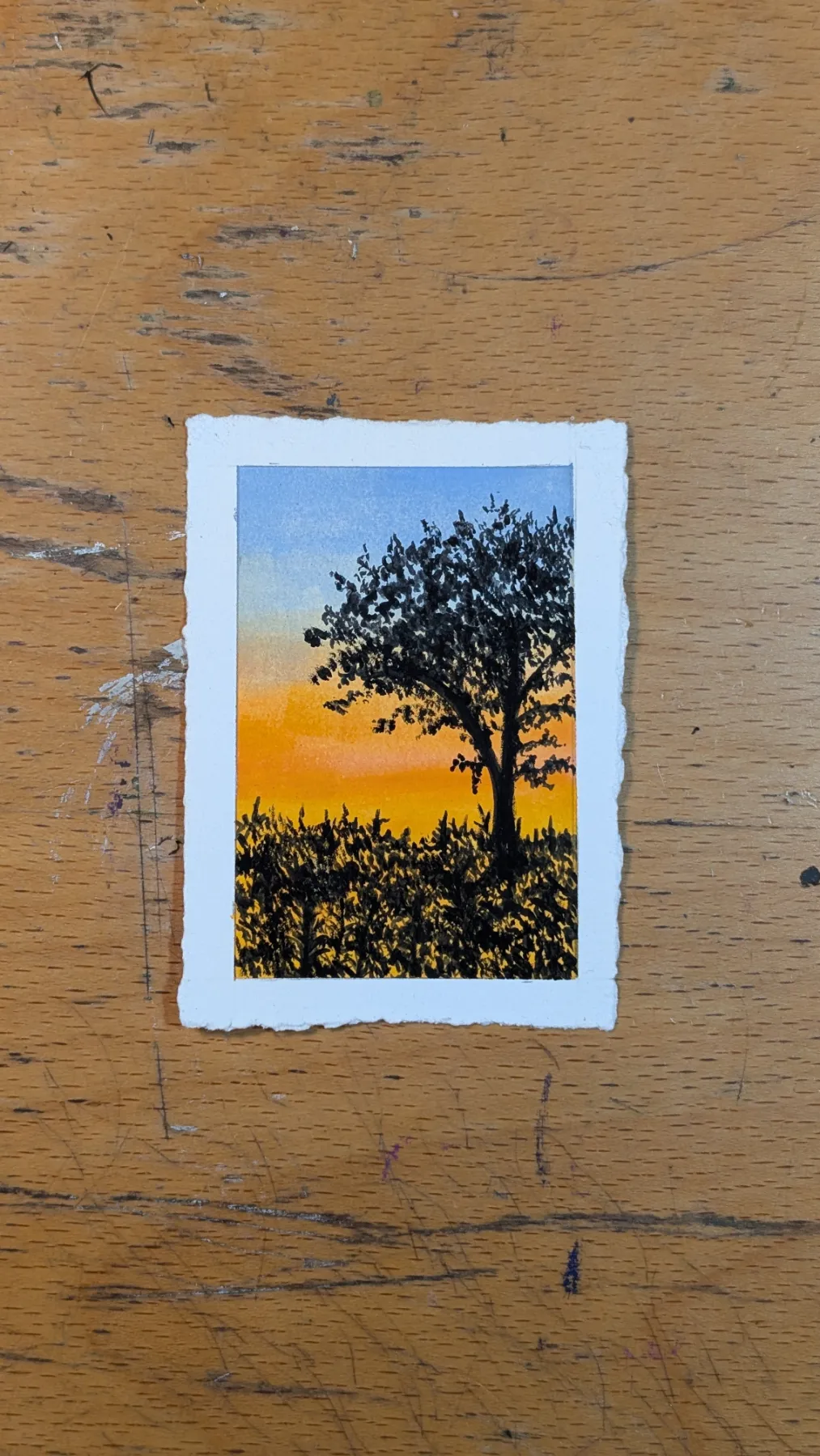 Tangerine Horizon aceo art card