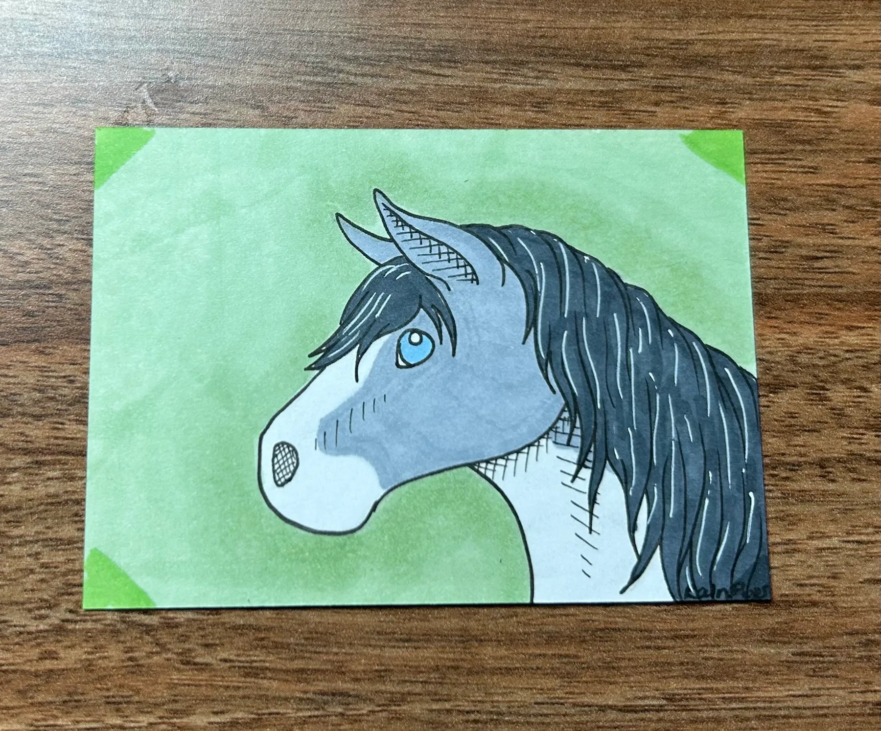 "Cricket's Face" Horse Head aceo art card