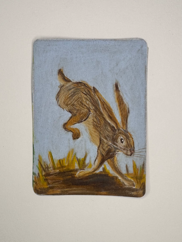 Jumping Hare aceo art card