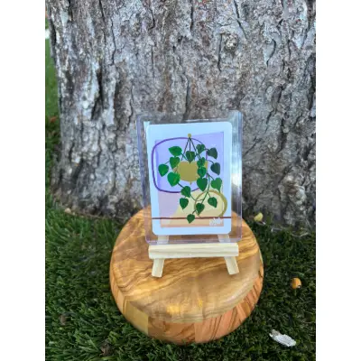 House Plant III: Series I aceo art card thumbnail 1