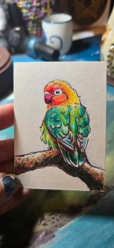 Lovebird aceo art card