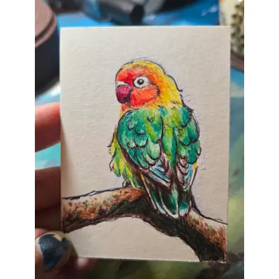 Lovebird aceo art card thumbnail 1
