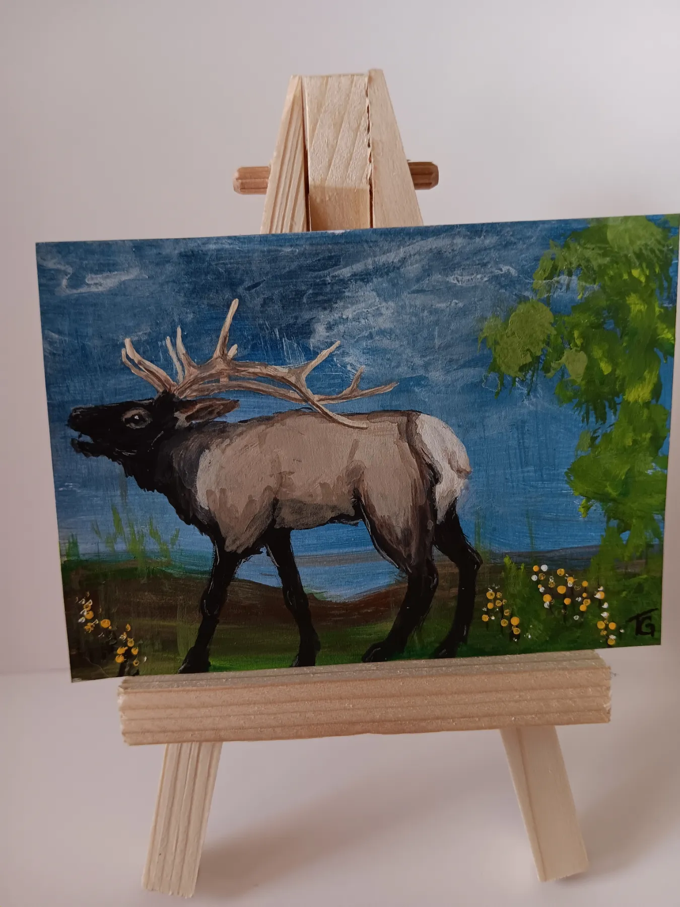 Elk, acrylic 2.5x3.5 OFAK Signed & numbered aceo art card