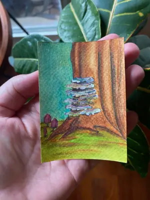 Turkey Tails aceo art card thumbnail 2