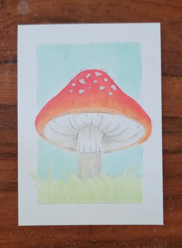 ACEO Original Marker Drawing - Mushroom, Florida, Nature, Fungi, Vegetable, OOAK aceo art card