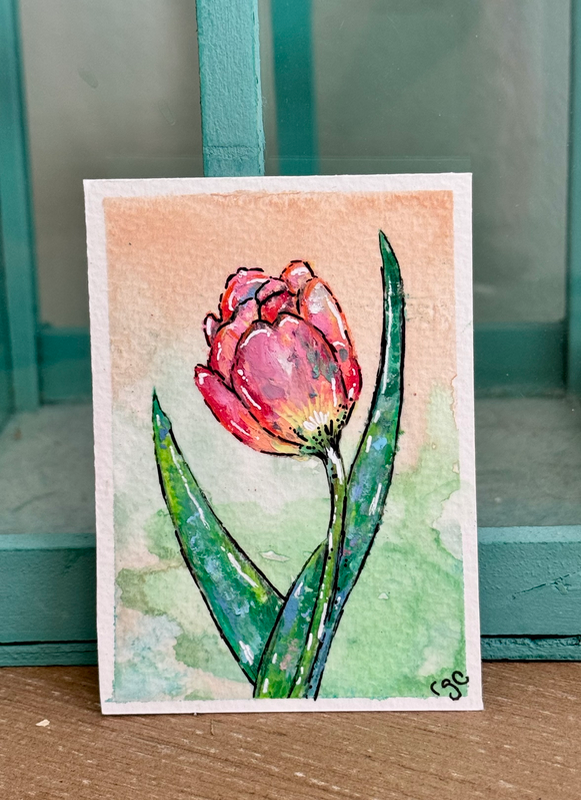 Red Tulip aceo art card