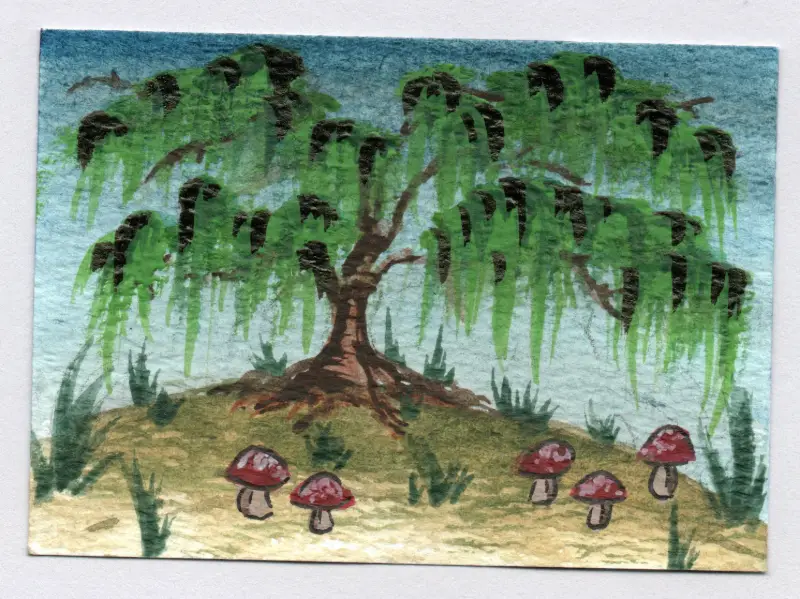 Twilight Willow aceo art card