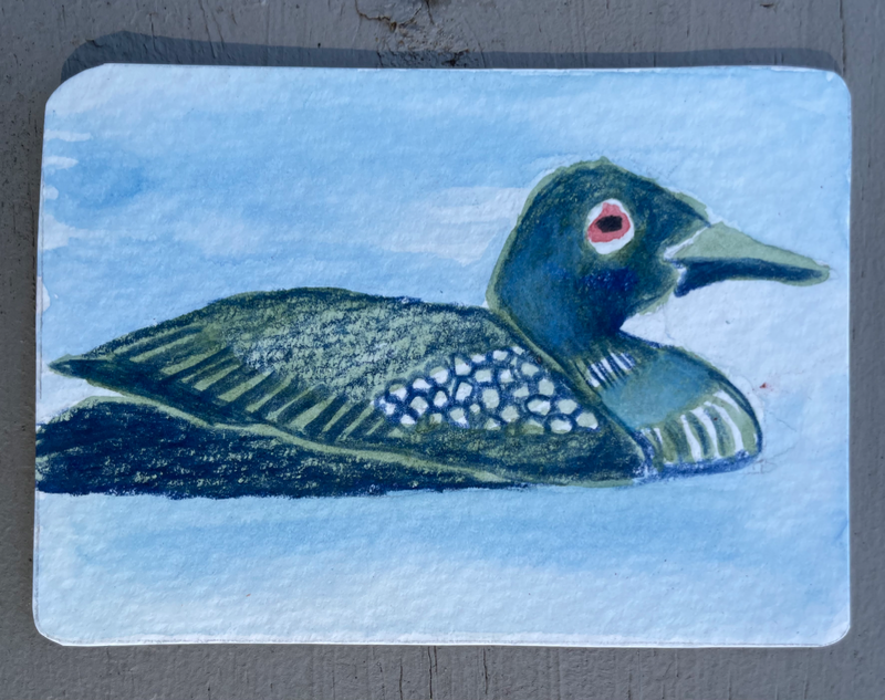 Loon aceo art card
