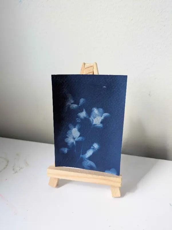 Clover Cyanotype aceo art card