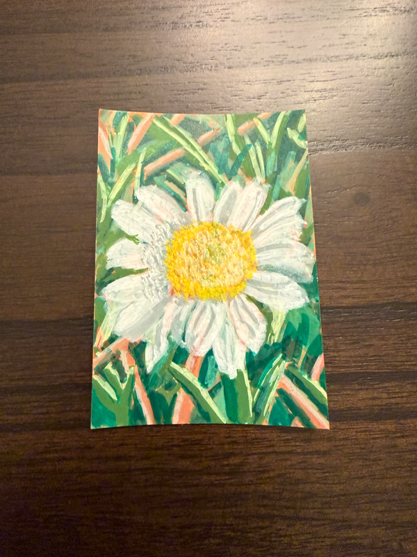 A Single Daisy aceo art card
