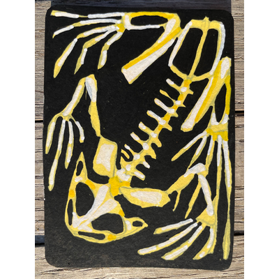 Frog skeleton aceo art card thumbnail 2