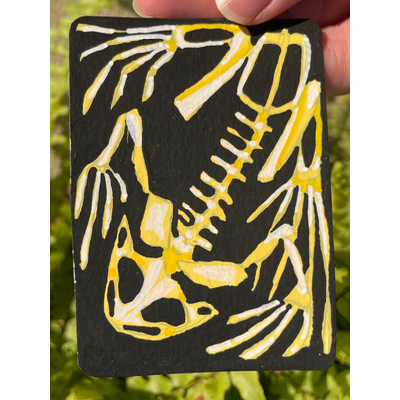 Frog skeleton aceo art card thumbnail 1