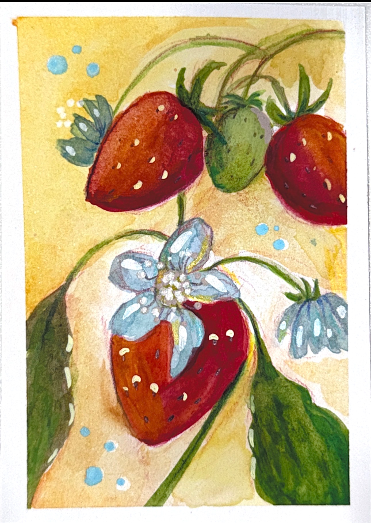 Strawberries- fruit series 2/10 aceo art card