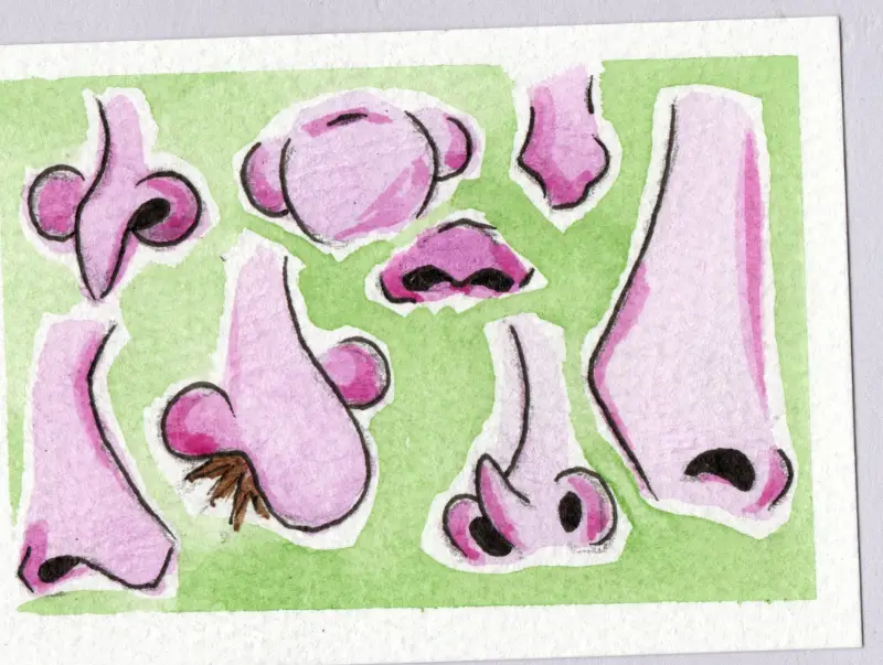 Schnoz aceo art card