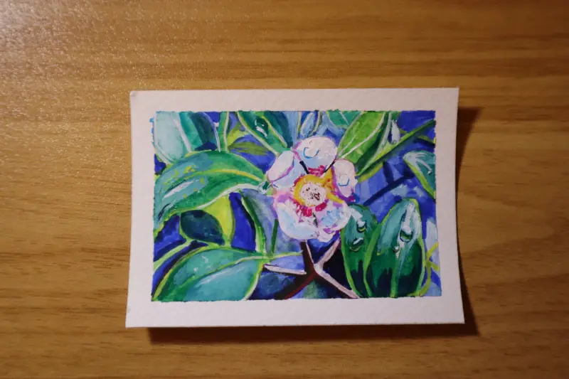 "Spring Bloom" aceo art card