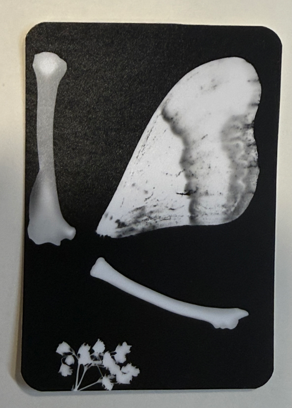 Wings and Bones aceo art card