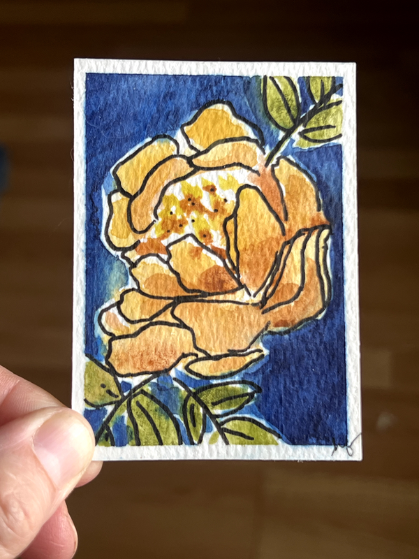 Blooming Gold Flower - H Forrest - Watercolor and black pen aceo art card