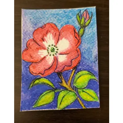 Nature's Beauty aceo art card thumbnail 1