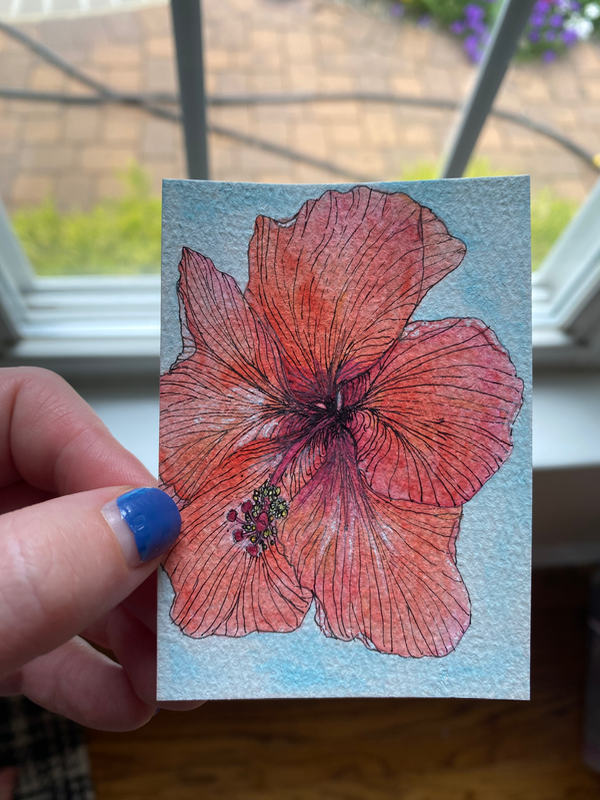 Hibiscus aceo art card