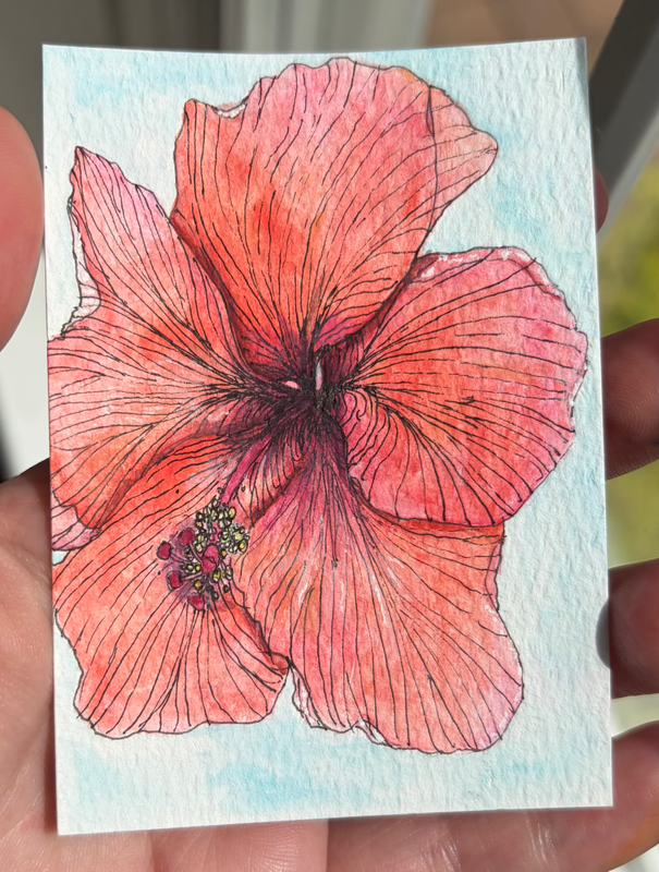 Hibiscus aceo art card
