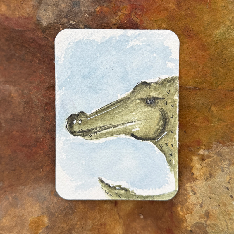 Gator Side Eye aceo art card