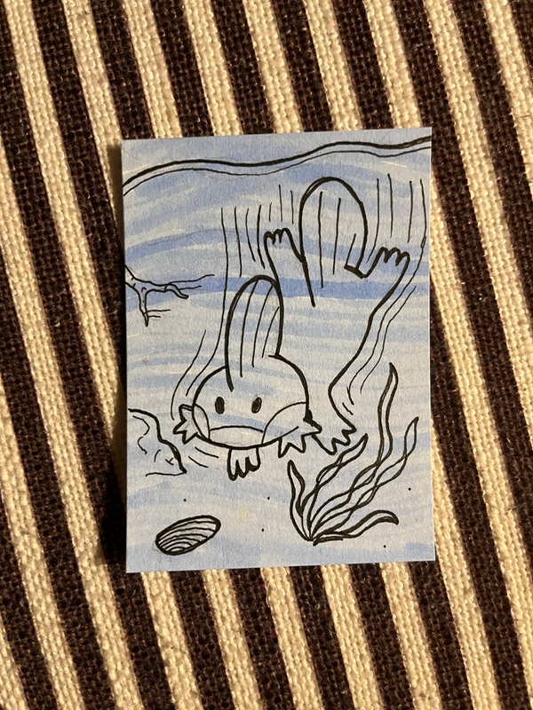 Mudkip Dip aceo art card